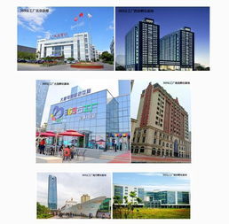 大唐網(wǎng)絡(luò)369云工廠運(yùn)營公司成立，實(shí)業(yè)運(yùn)營與建設(shè)雙輪驅(qū)動(dòng)區(qū)域孵化基地全面升級